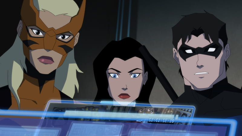 Justice League, Young Justice, Artemis Crock , Tigress (DC Comics) , Zatanna , Dick Grayson , Nightwing, HD wallpaper