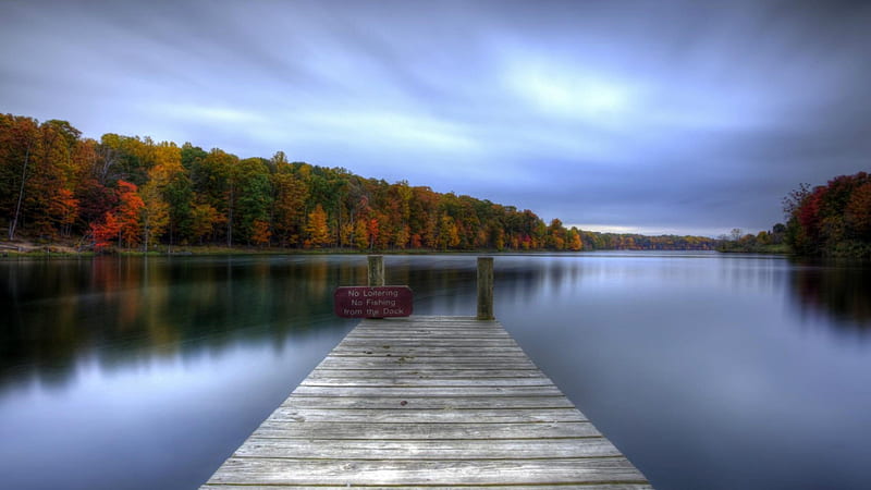 wooden dock on a calm lake r, forest, autumn, calm, dock, r, overcast, lake, HD wallpaper