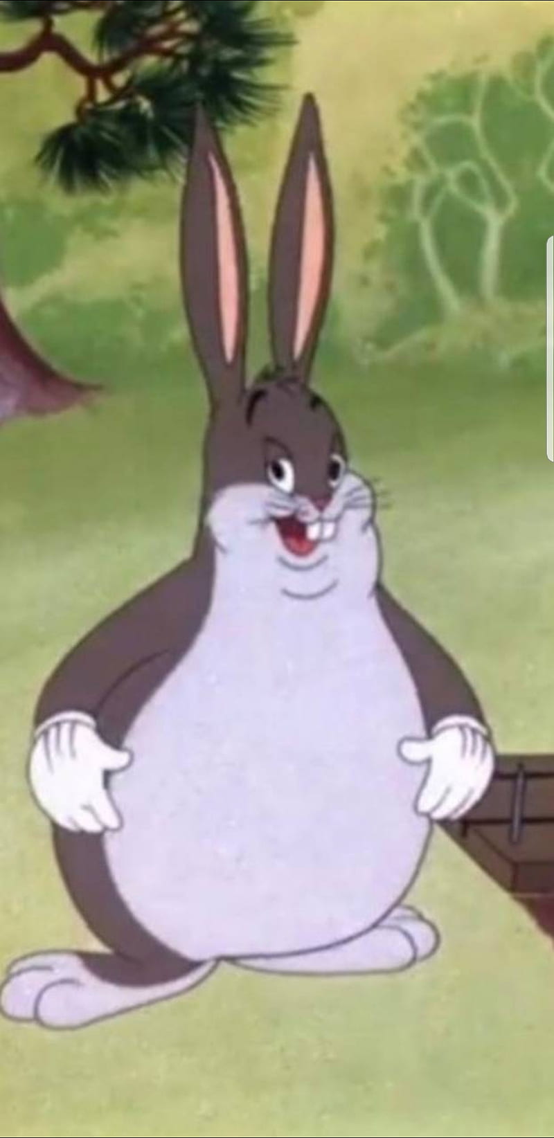 Pokemon infinity chungus