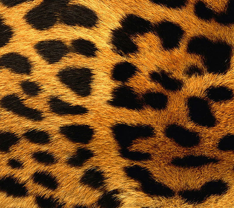 Leopard, abstract, black, colors, gold, stitches, HD wallpaper