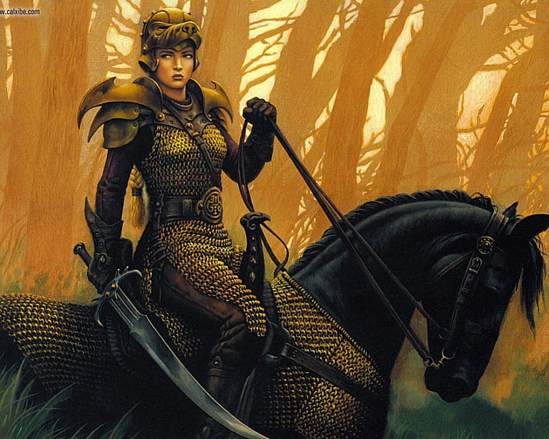 Fortress Draconis, armor, forest, helmet, woods, armored horse, horse, woman, sword, HD wallpaper