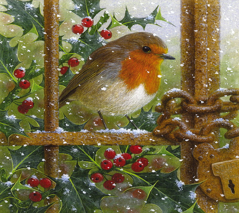 christmas robin, berries, bird, christmas, gate, holy, holy and ivy, ivy, robin, snow, HD wallpaper