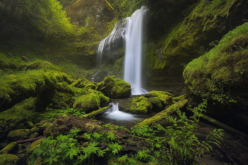 Waterfalls, Waterfall, Moss, Greenery, Nature, HD wallpaper | Peakpx