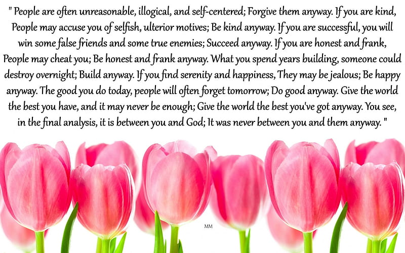 The Final Analysis, Tulips, Words, Pink, Thoughts, Flowers, Nature, Spirituality, Quotes, HD wallpaper