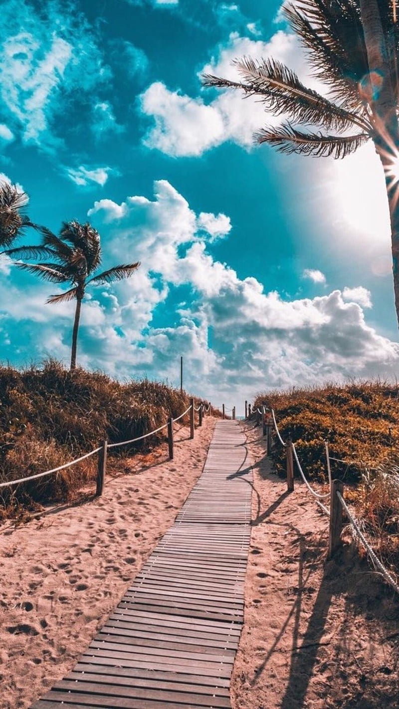 beach, blue, nature, palm trees, sky, HD phone wallpaper