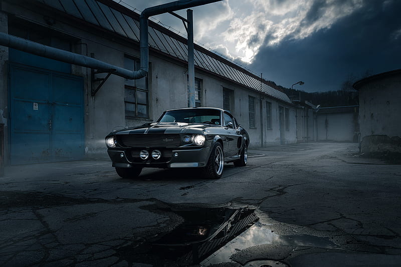 Shelby, shelby, vintage-cars, carros, HD wallpaper