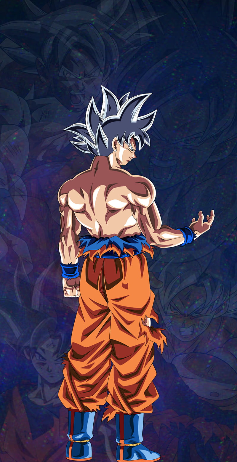 Top Imagen Goku Ultra Instinto De Espaldas Ecover Mx