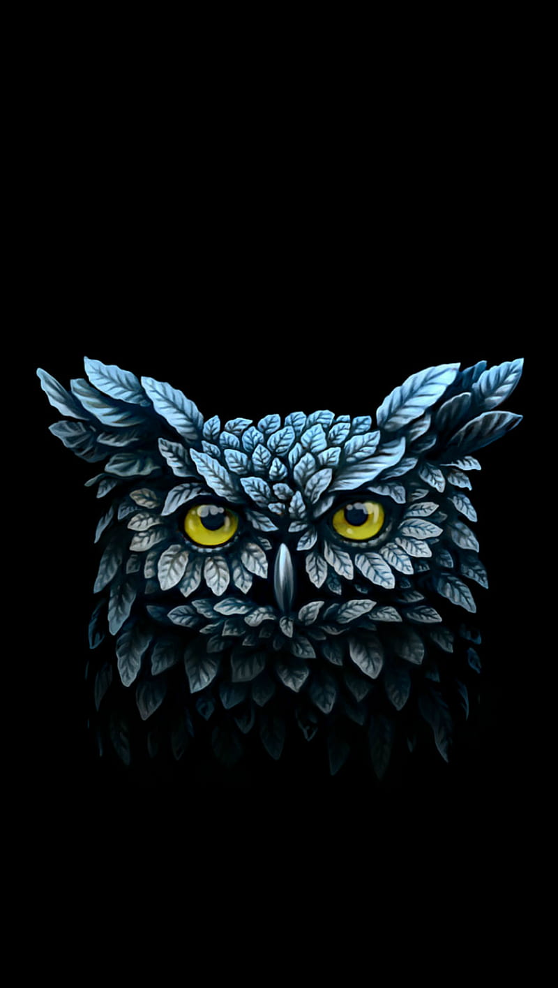 Owl, graphics, night, sowa, HD phone wallpaper