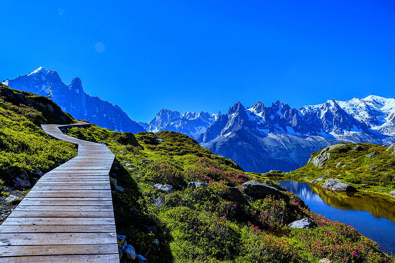Mont Blanc, Alps, sky, Chamonix, blue, Alps, Mont Blanc, view, grass, France, bonito, mountain, peak, wildflowers, majestic, HD wallpaper