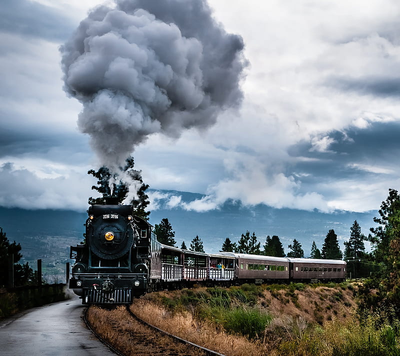 Steam Train, clouds, railway, steam, train, trees, HD wallpaper