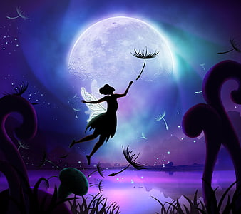 fairies in the night