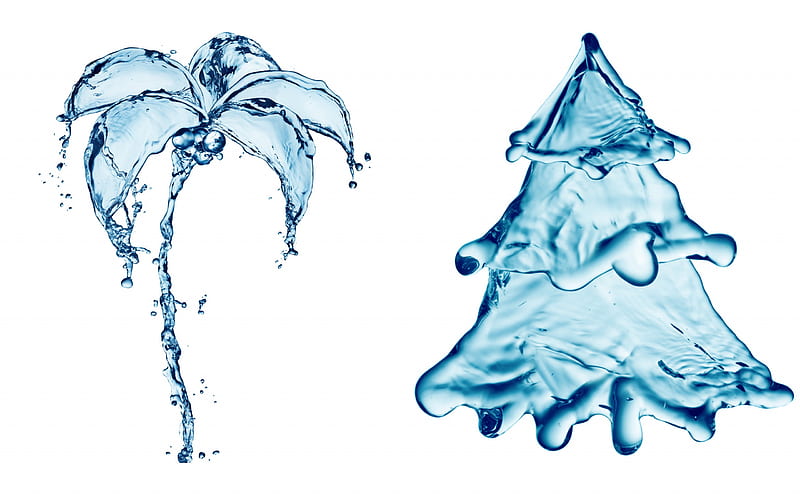 water, concepts, water palm, water Christmas tree, splashes of water, HD wallpaper