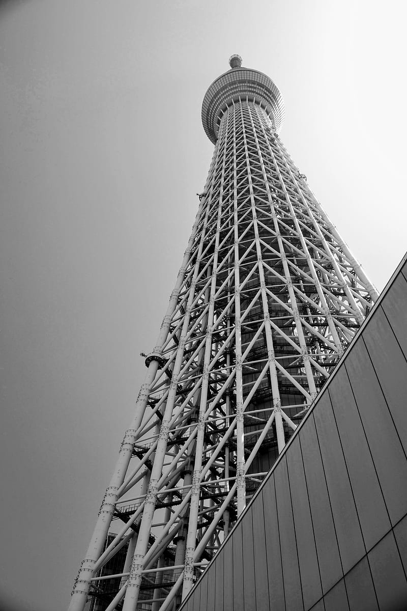 Tokyo SkyTree, tower, HD phone wallpaper