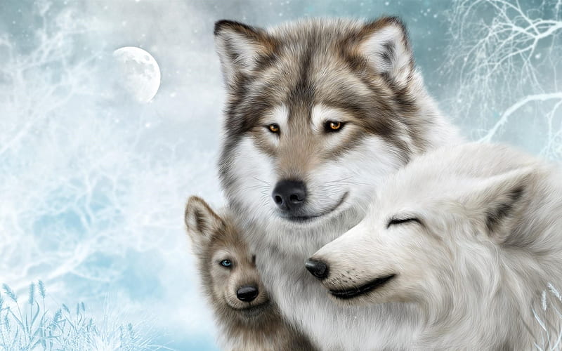 Wolfsfamilie-Mond-Schnee-Winter-1920x1200-Hintergrundbilder-de.best-.net.jpg, Schnee, Wolfsfamlie, Mond, Winter, Deutschland, HD wallpaper