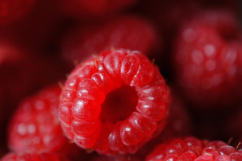 raspberry, berry, ripe, red, macro, HD wallpaper