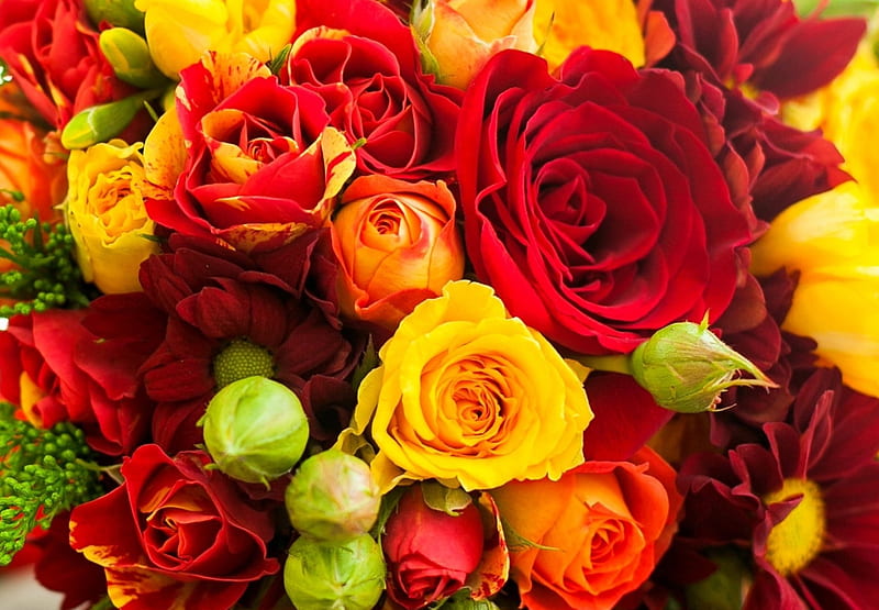 Flores, amarillo, rojo, flor roja, rosas rojas, rosa amarilla, flor amarilla,  Fondo de pantalla HD | Peakpx