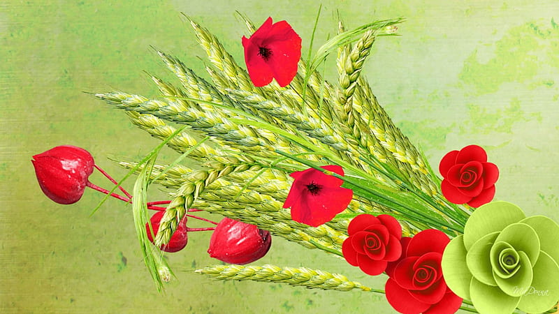 Wheat Grass and Flowers, fall, wild flowers, grass, rose, wheat, poppies, fluers, seeds, green, summer, flowers, nature, pods, field, HD wallpaper