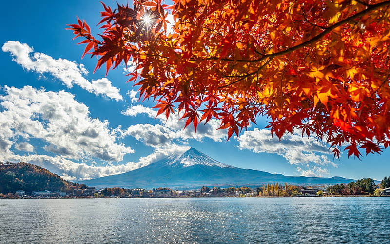 Mount Fuji, japan, Japan, Fuji, mount, autumn, maple, sunbeams, HD wallpaper
