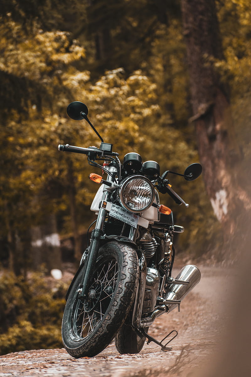 Continental GT, automobile, best, bike, bikes, forest, motorcycle, nature, royal  enfield, HD phone wallpaper | Peakpx