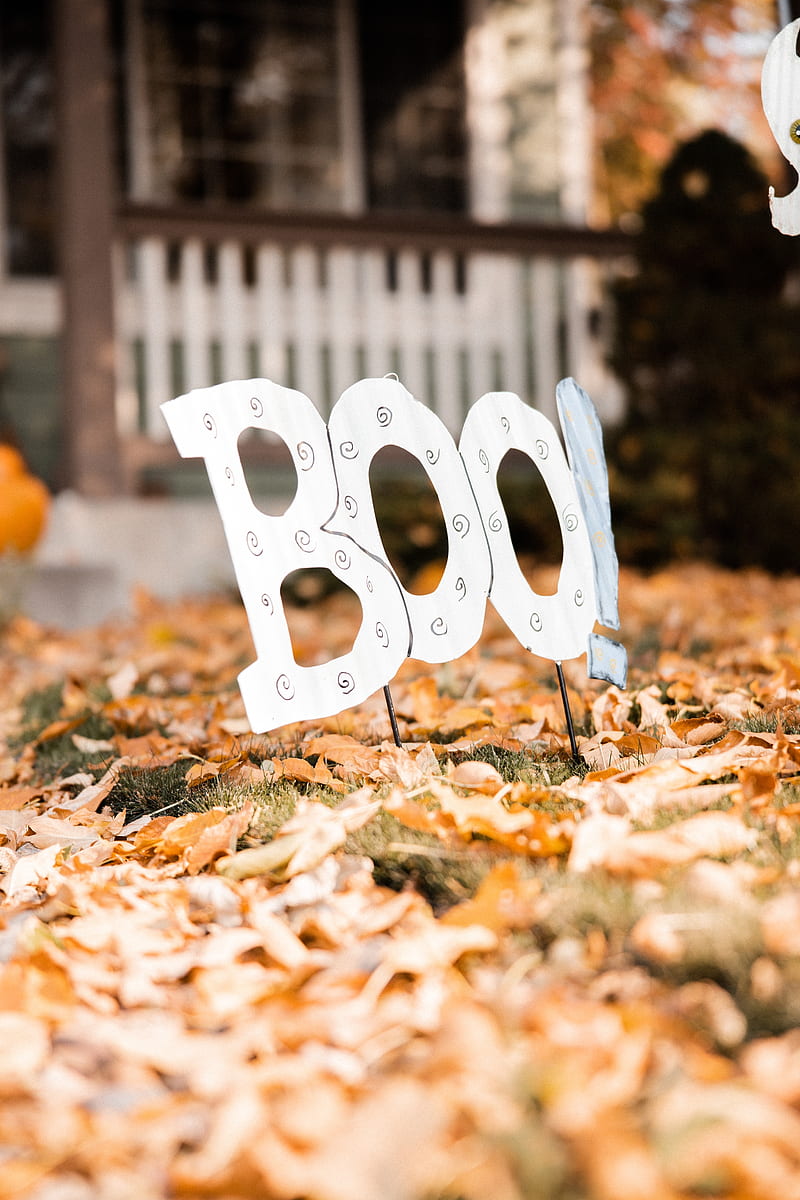 word, decoration, halloween, leaves, autumn, HD phone wallpaper