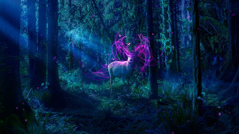 MAGICAL FOREST, MAGICAL, NIGHT, DEER, FOREST, TREES, HD wallpaper | Peakpx