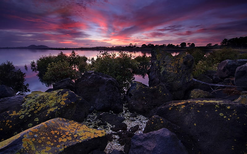 New Zealand-Rocky Sunrise-Sunrise at Otuataua Stonefields-Auckland, HD wallpaper