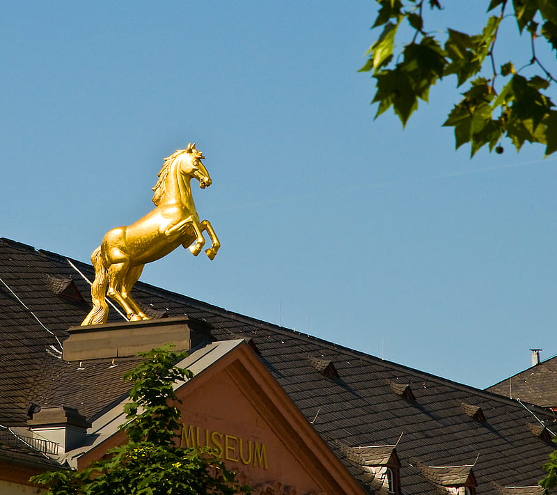 Golden Horse, goldenes pferd, mainz, museum, HD wallpaper