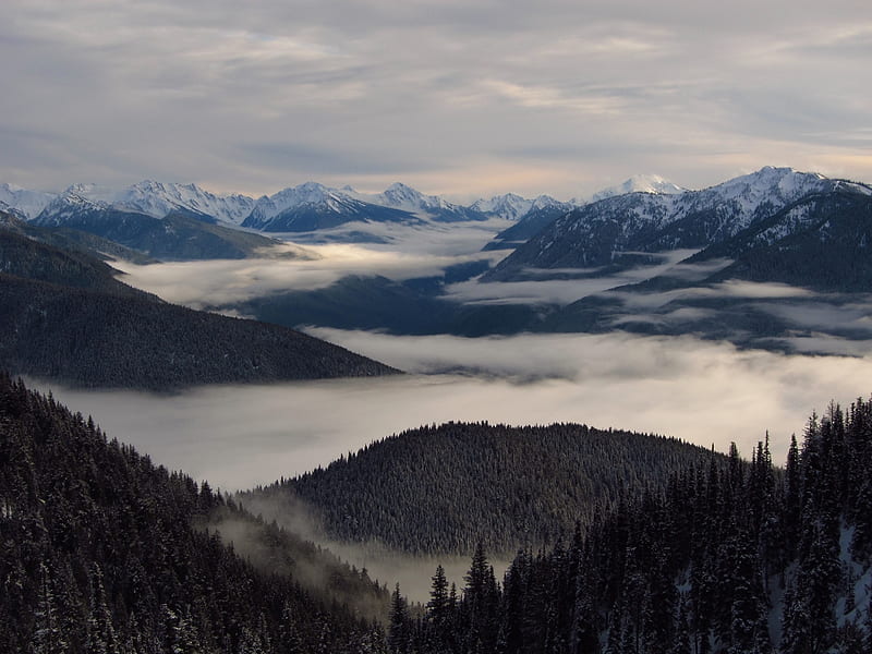 Foggy Mountains, fog, mountains, nature, HD wallpaper