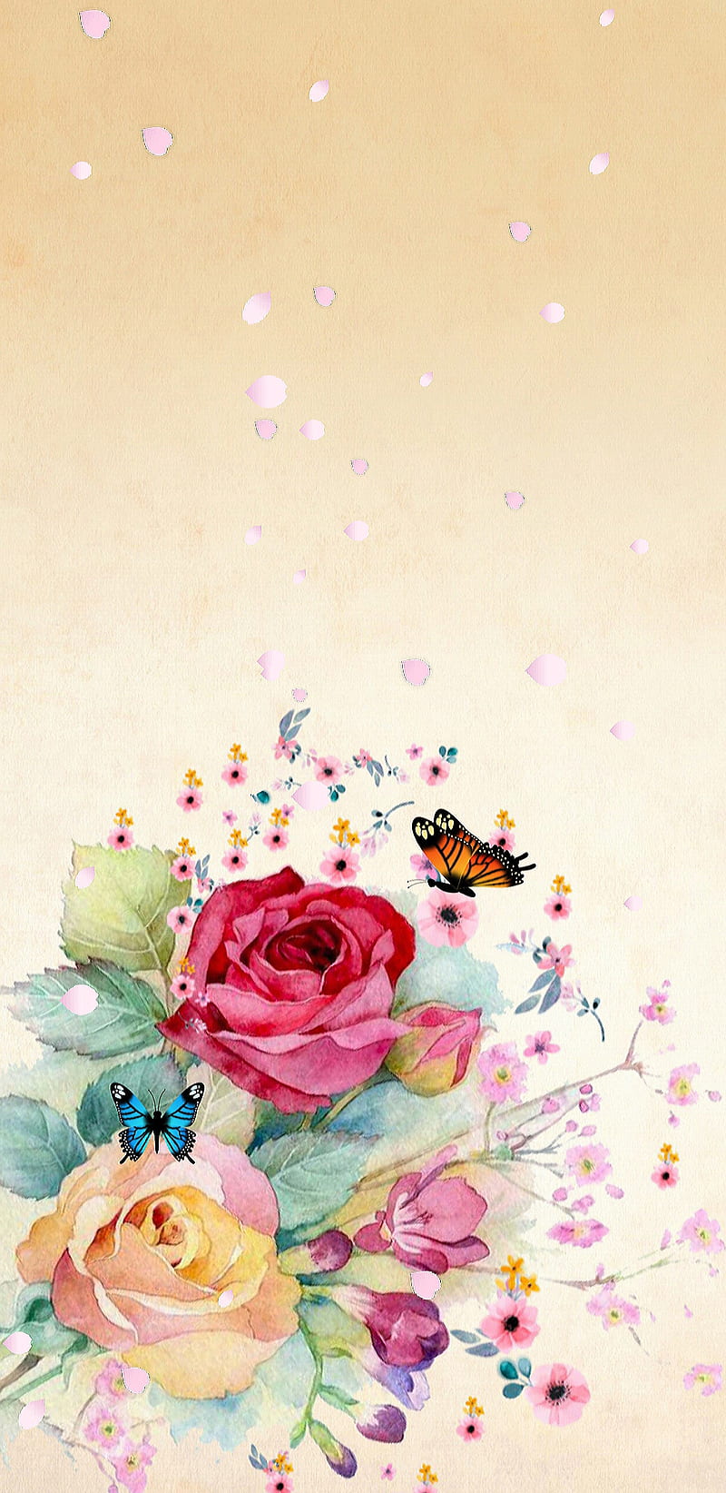 Rose Garden, bonito, butterfly, girly, pretty, roses, HD phone wallpaper