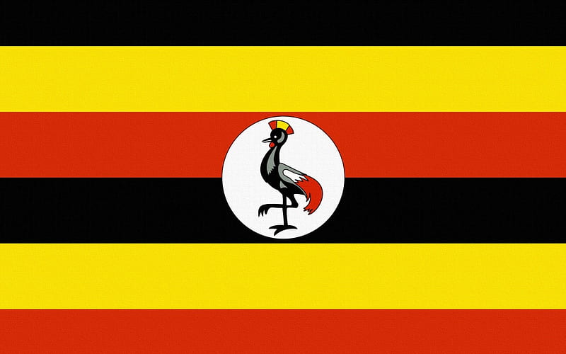 Uganda, country, flag, texture, HD wallpaper