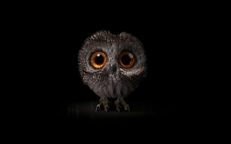 Cartoon owl minimal, black background, owl minimalism, creative, owl, HD  wallpaper | Peakpx