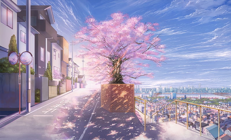 Spring View, sakura, view, japanese, spring, cherry blossom, japan, orginal, scenery, street, HD wallpaper