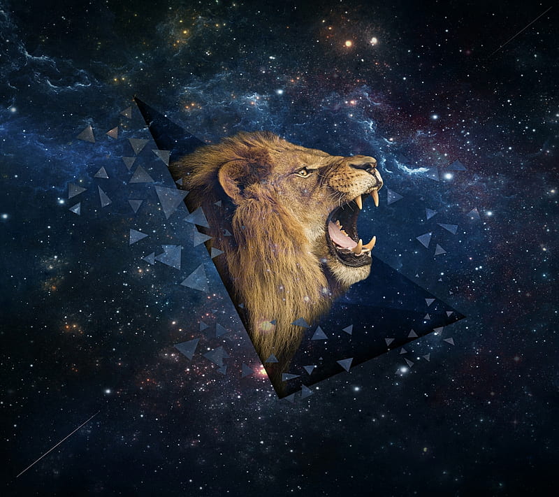 Roar, lion, HD wallpaper