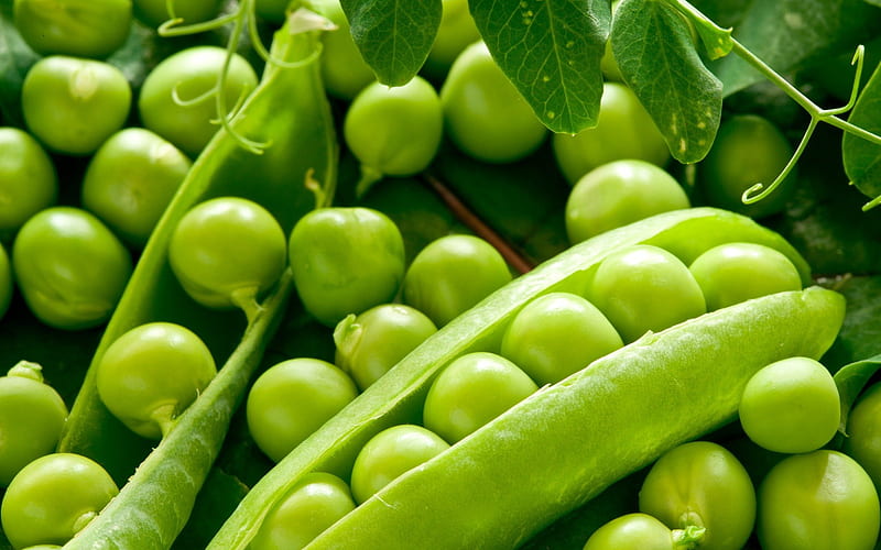 Peas, close up, green, food, vegetable, HD wallpaper