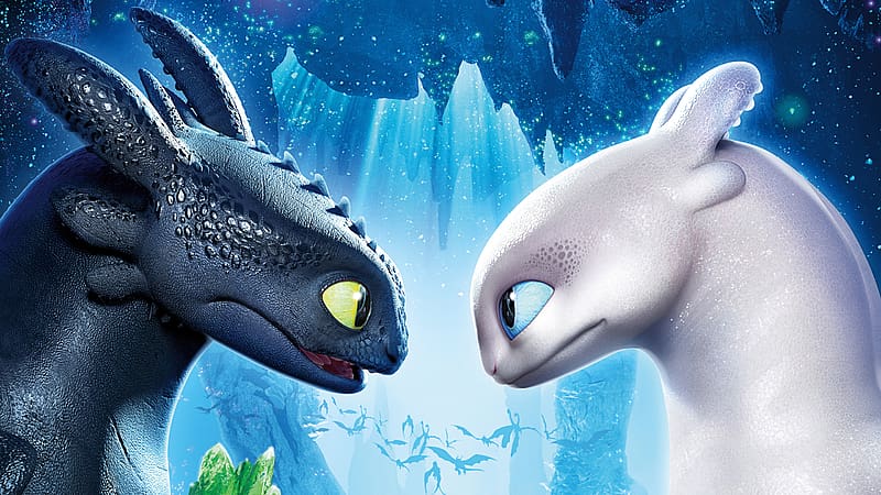 Movie, Toothless (How To Train Your Dragon), How To Train Your Dragon, How To Train Your Dragon: The Hidden World, White Night Fury, HD wallpaper