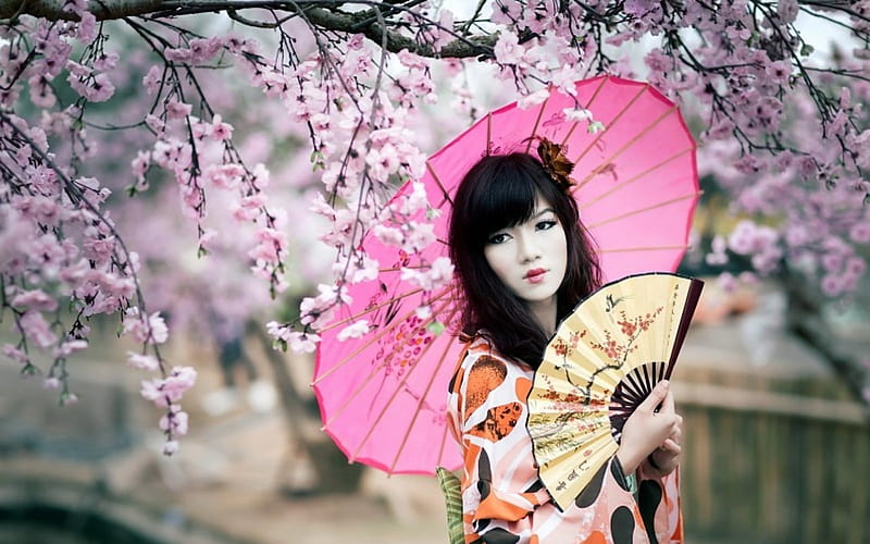 Japanese Woman, Cherry, Pink, Hand Fan, Woman, Flowers, Hand Nature, HD wallpaper