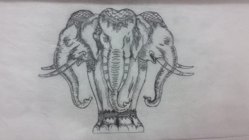 3 headed elephant, drawer by sao susan, laos, HD wallpaper