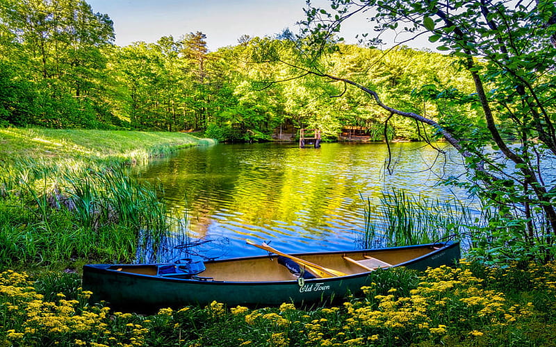 Canoe in Wildflowers at the Lake, trees, reflections, wilderness, boat, water, flowers, HD wallpaper