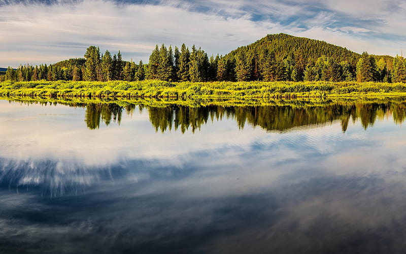 Oxbow, America, lake, forest, Grand Teton National Park, USA, HD wallpaper