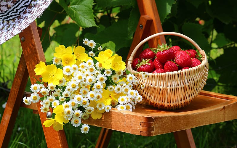 Nature, Fruits, Food, Strawberry, Flower, Garden, Basket, HD wallpaper