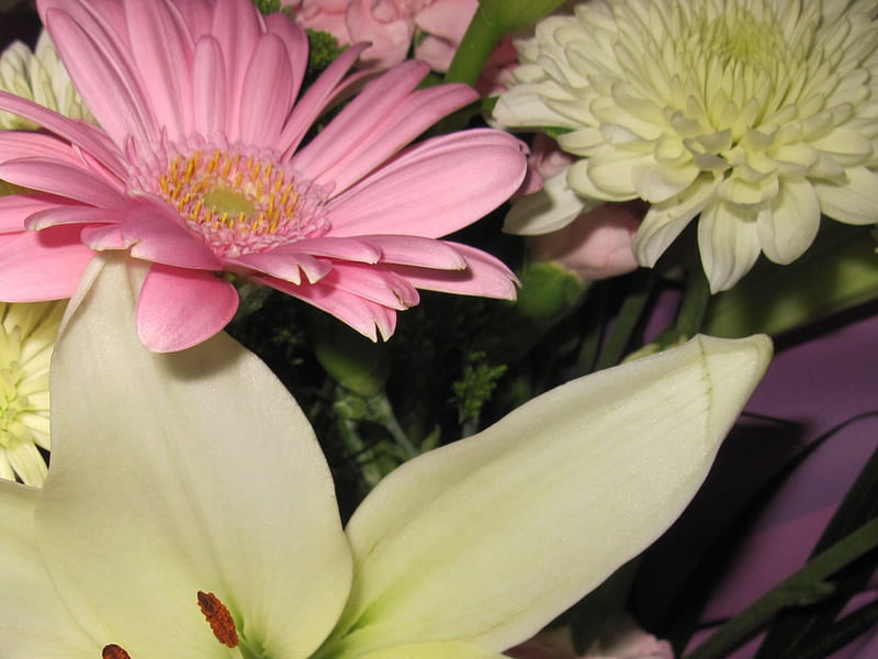 Bouquet of flowers 53, graphy, Daisy, green, brown, flowers, yellow, pink, HD wallpaper