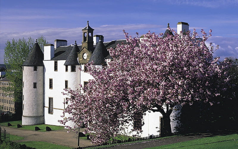Beautiful Scottish Castle & Flowering Tree, castles, nature, scotland, trees, HD wallpaper