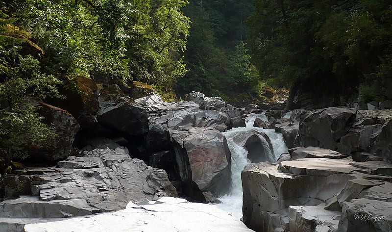 Granite Falls 1, rocks, , washington, waterfall, fish ladder, river, trees, HD wallpaper