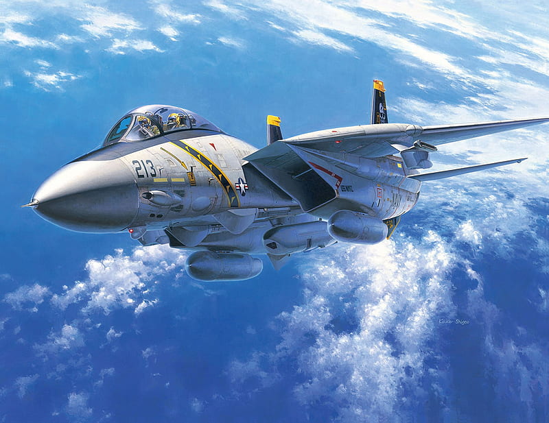 Jet Fighters, Grumman F-14 Tomcat, HD wallpaper