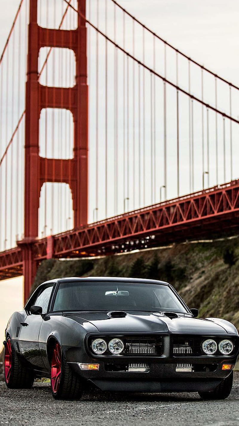 Golden Gate, muscle, black, car, supercar, sports, america, new, bridge, california, HD phone wallpaper