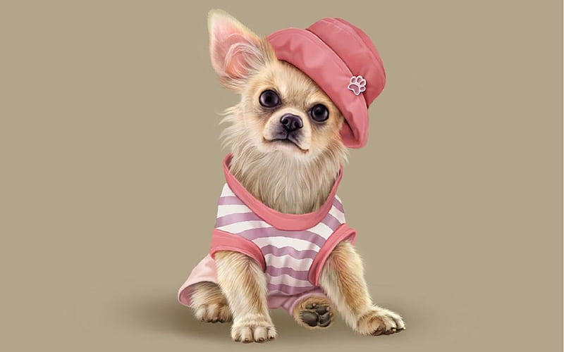 Pretty in Pink?, cute, Dogs, puppy, sweet, pink, HD wallpaper
