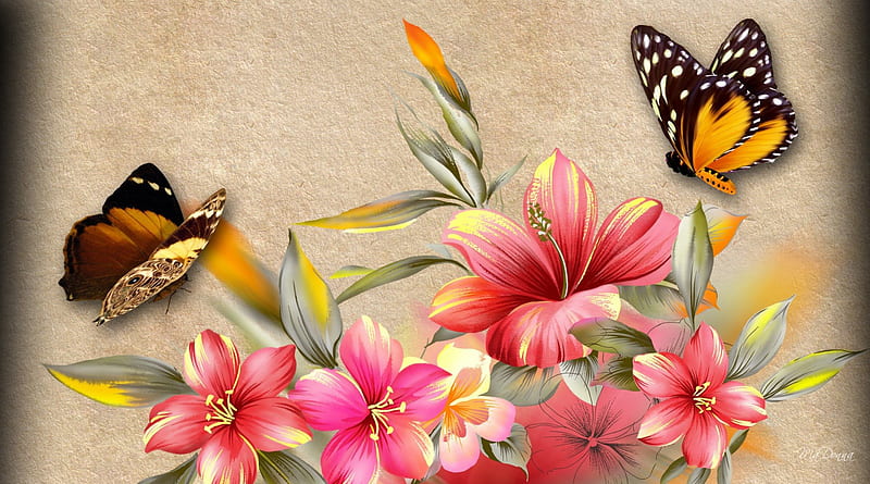 Hibiscus and Butterflies, flowers, fragrant, hibiscus, butterflies, parchment, spring, summer, papillon, flowers, paper, HD wallpaper