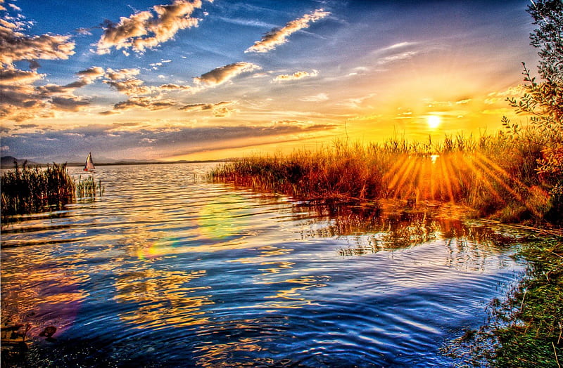 Magnificent beauty of nature, stunning, golden, sunlight, colors, sunset,  sky, HD wallpaper | Peakpx