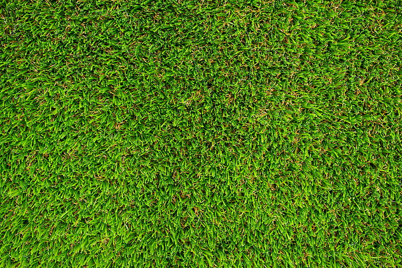 grass, lawn, texture, green, HD wallpaper