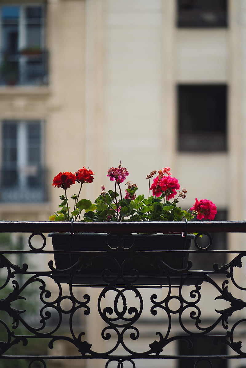 Balcony Photos, Download The BEST Free Balcony Stock Photos & HD Images